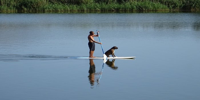 inflatable sup with dog