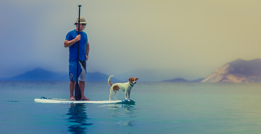 What to Wear When Paddle Boarding