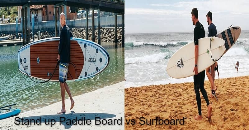 Stand Up Paddle Board Vs Surfboard
