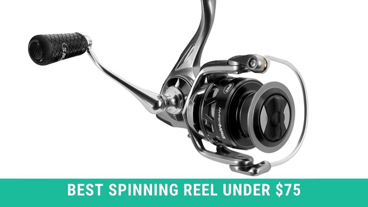 Best Spinning Reel Under $75