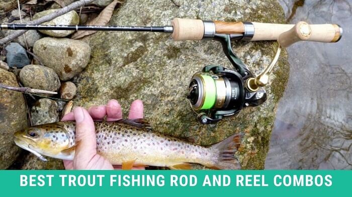 Best Trout Fishing Rod and Reel Combos